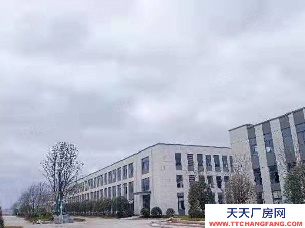 長沙市瀏陽區 獨棟！大平層2600平，即買即用！開發直招！可按揭！