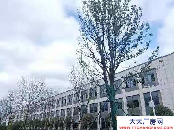 長沙市瀏陽區，1200平，2層獨棟！可按揭！300萬一套。