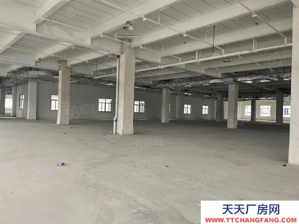 長沙市長沙區榔梨工業園40000平廠房倉庫出租