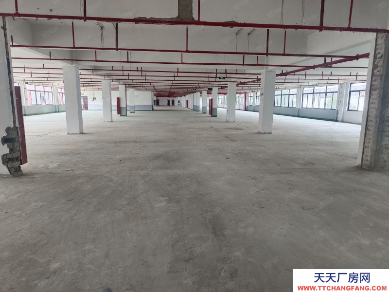 杭州桐廬(出租) 獨門獨院花園式廠房20000方單價9塊起 可分租，空地大