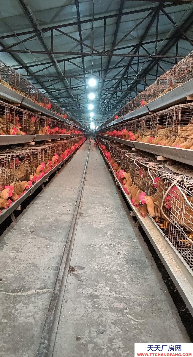 (出租) 由于工作原因忍痛割愛，能優(yōu)惠。