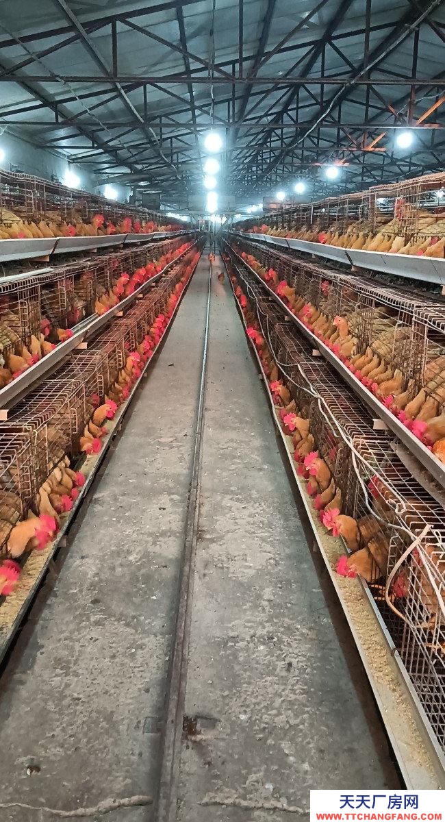 (出租) 由于工作原因忍痛割愛，能優(yōu)惠。