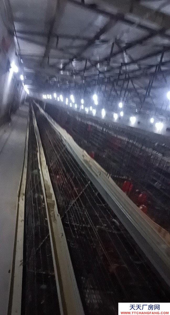 (出租) 由于工作原因忍痛割愛，能優惠。