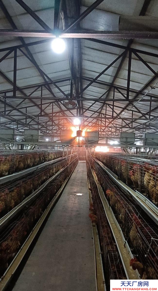 (出租) 由于工作原因忍痛割愛，能優(yōu)惠。