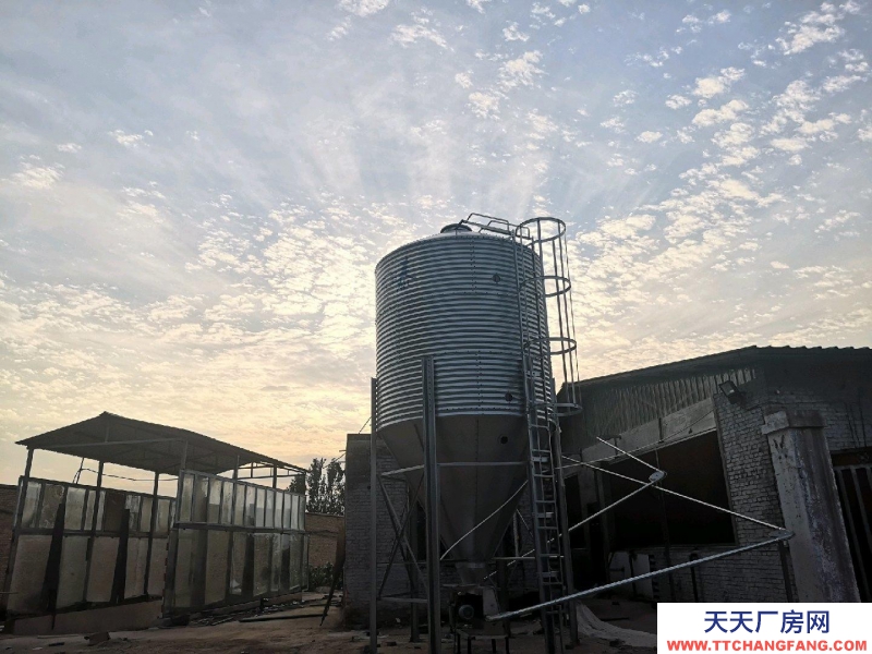 (出租) 自建養殖場，豬 牛 羊均可使用