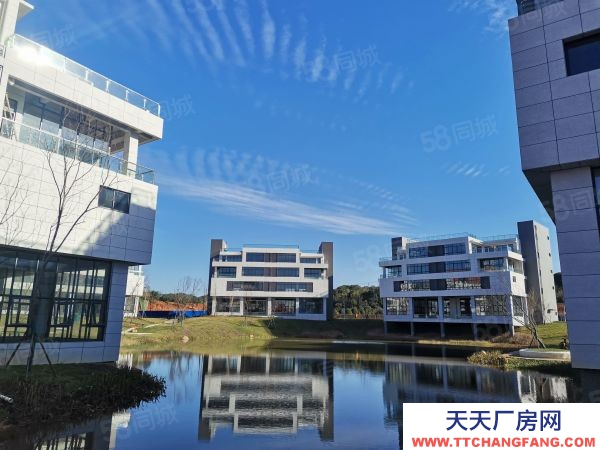 長沙市長沙區金霞3002500平臨湖獨棟多層廠房可辦公生產倉儲研發