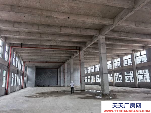 長沙市長沙區2層獨棟準現房，8米層高，12米柱距，適合生產的大通間廠房