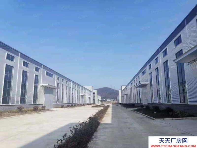 (出售) 合肥 肥東產(chǎn)業(yè)園招商 獨棟廠房直售 可架行車