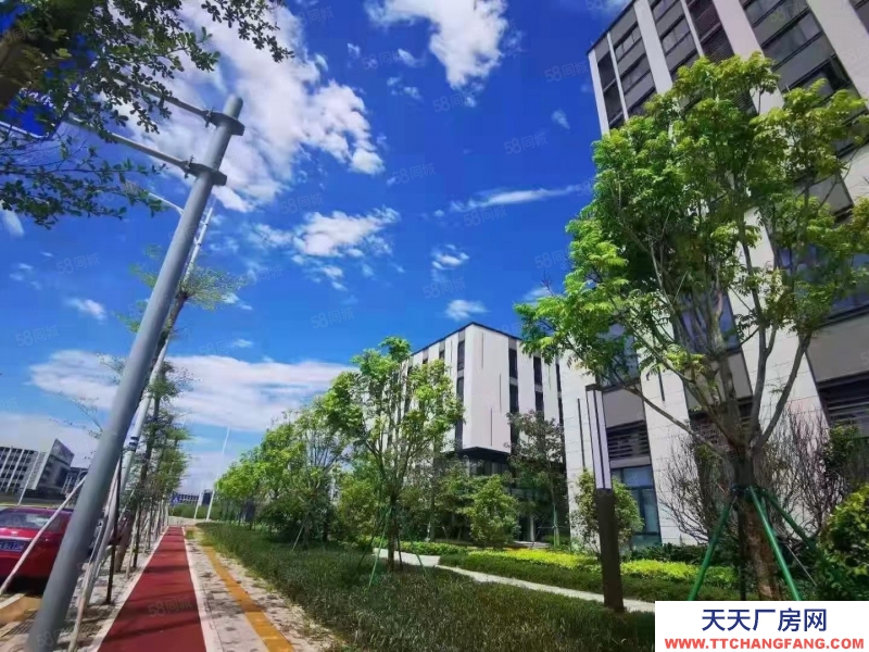 (出售) 合肥 肥西10年租金換獨棟！高端制造產業聚集！品質園區！低首付！