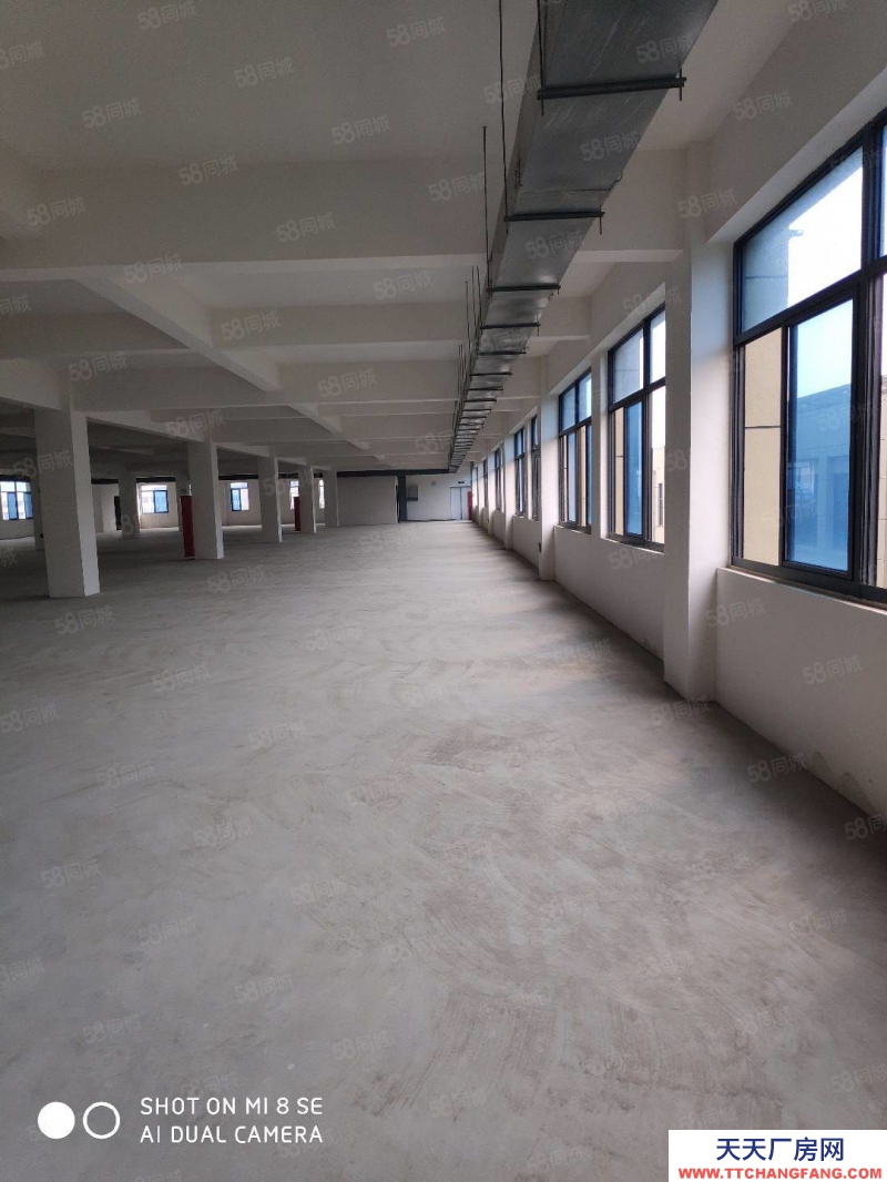 (出租)合肥  肥西單層2500平總面積8000平600平起租