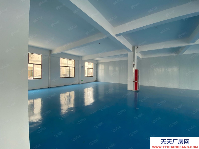 (出租) 合肥 肥西 電商福音 整層1200平 全新廠房