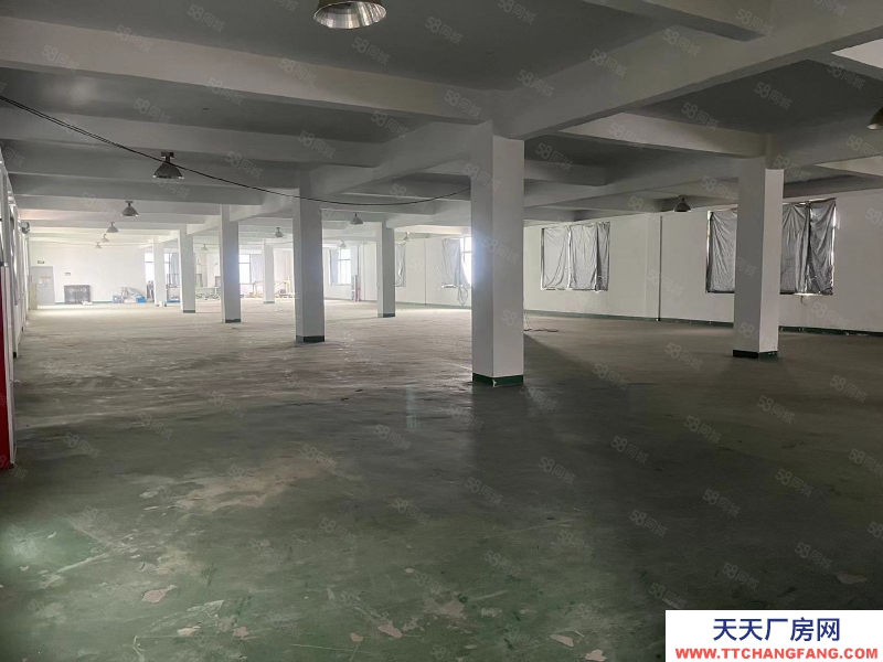 (出租) 合肥 肥西 房東直租，桃花標準框架廠房，1樓已空可分租