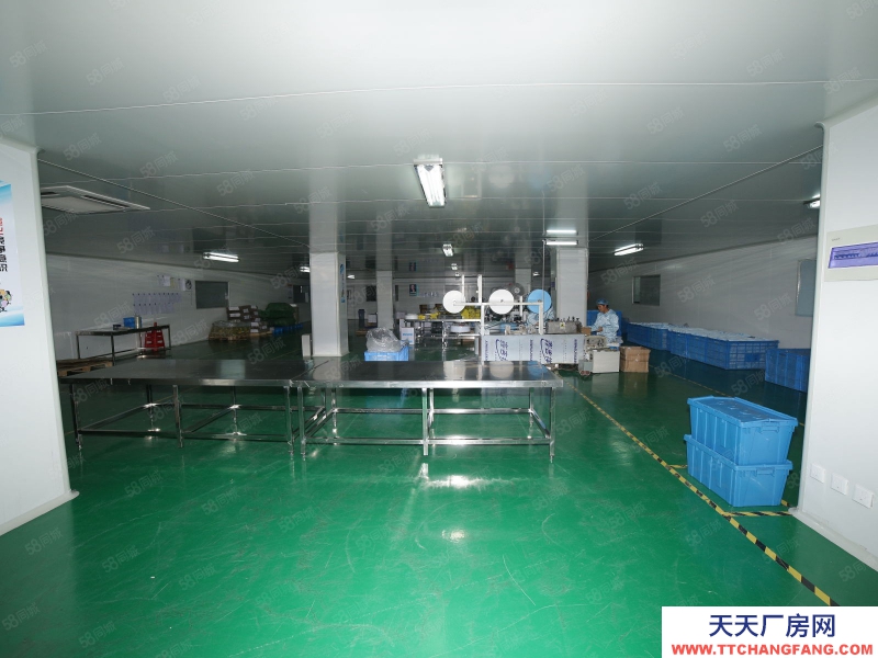 (出租) 合肥 肥西 房東直租，桃花標準框架廠房，1樓已空可分租