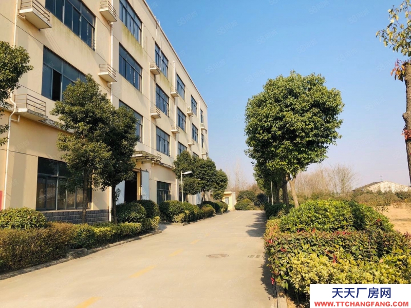 (出租) 合肥 肥西森林大道旁獨棟廠房出租，價格優惠