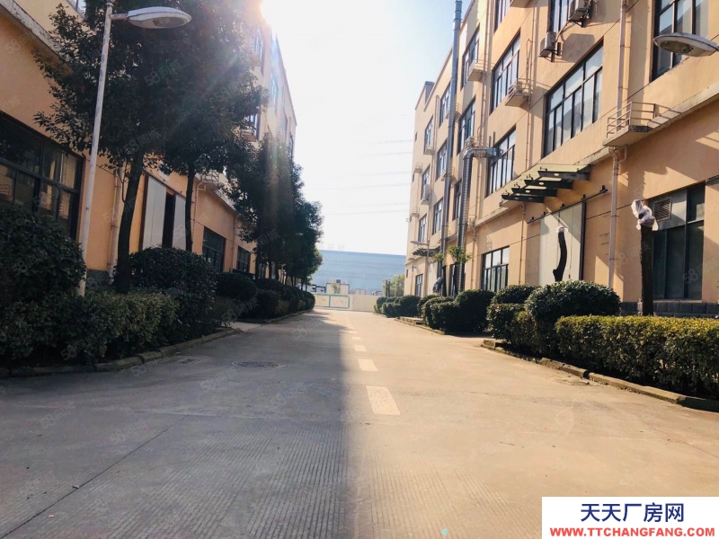 (出租) 合肥 肥西森林大道旁獨棟廠房出租，價格優惠