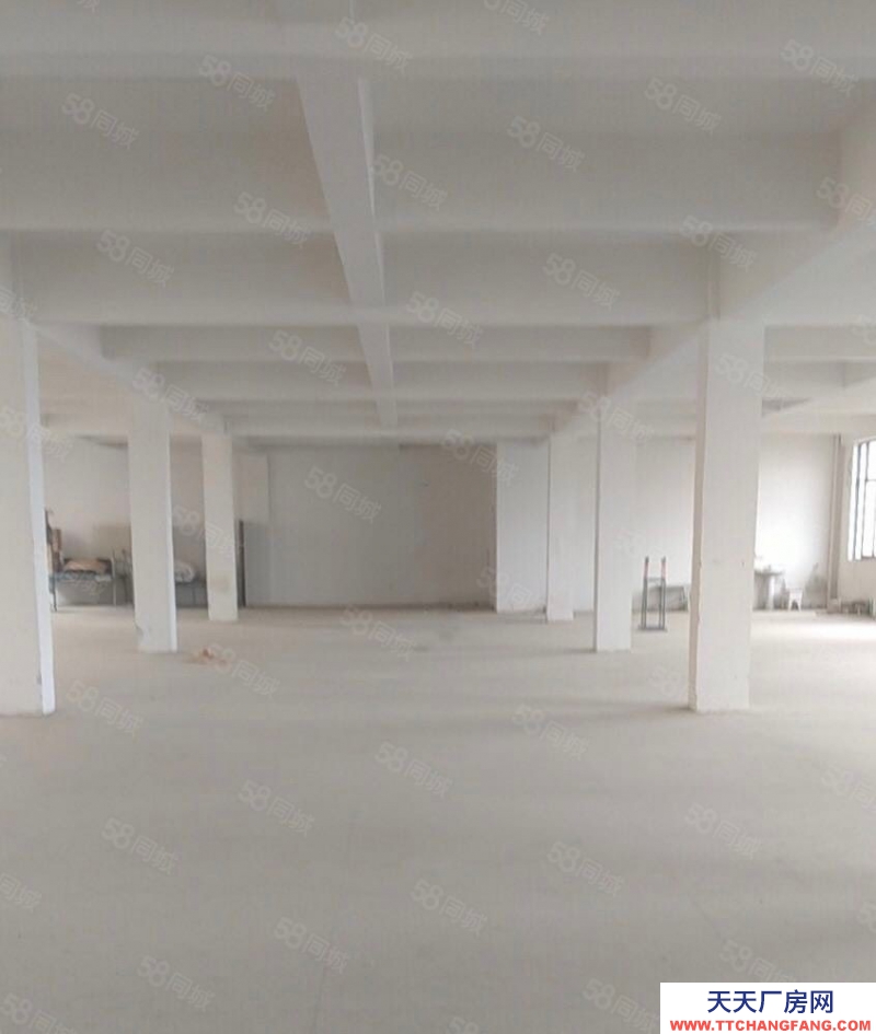 (出租) 合肥 肥西森林大道旁獨棟廠房出租，價格優惠