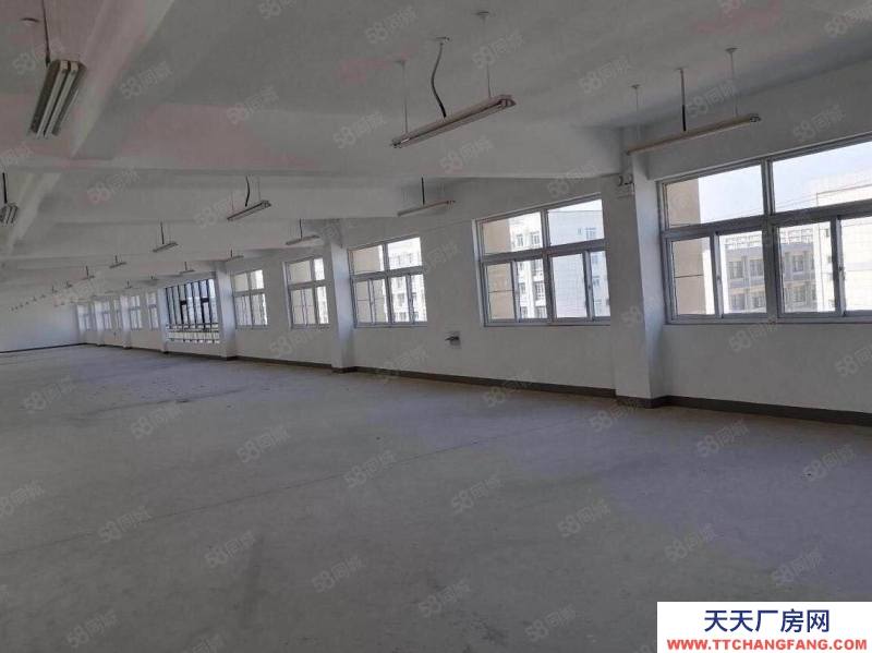 (出租) 合肥 肥西森林大道旁獨棟廠房出租，價格優惠