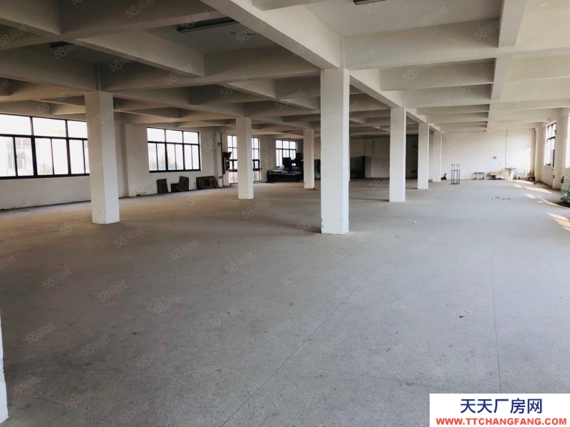 (出租) 合肥 肥西森林大道旁獨棟廠房出租，價格優惠