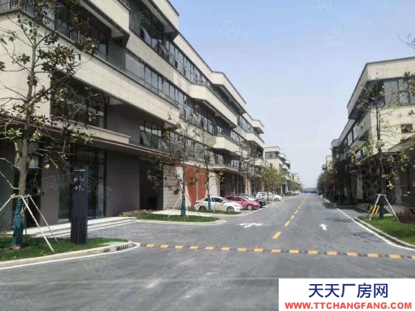 (出租) （蕪湖 鳩江全新廠房出租出售，首層8.1米，環境好，好招工