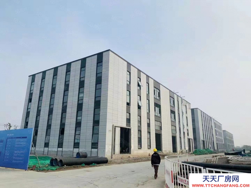 (出租) （蕪湖 鳩江全新廠房出租出售，首層8.1米，環境好，好招工