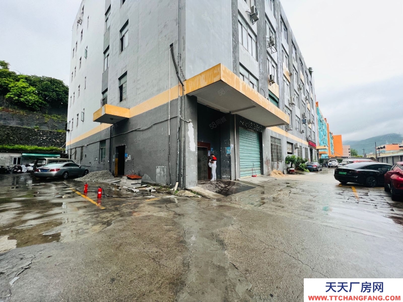 (出租) 深圳南山西麗湖獨(dú)院一樓廠房360平 層高5米 不限行業(yè)