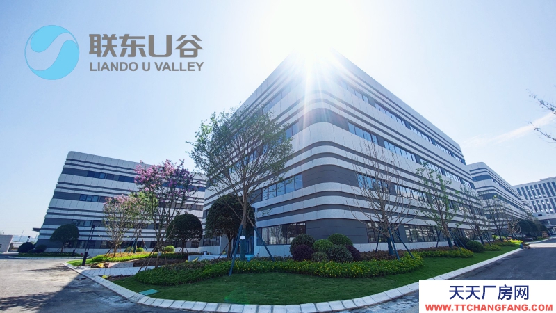 天府新區直管新興產業園全新房源出租