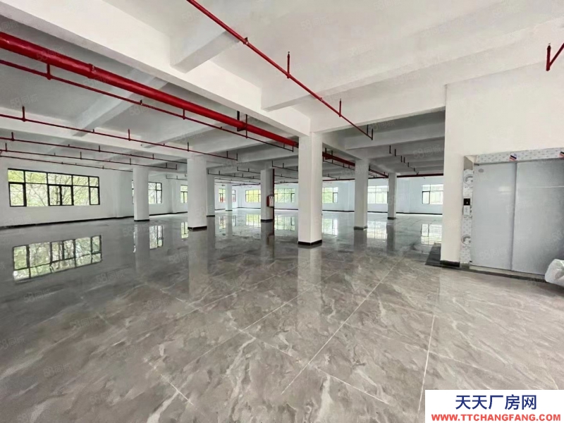 (出租) 深圳寶安獨門獨院福永廠房辦公室電商倉庫800平至3000一二樓帶裝修