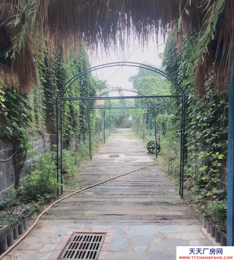 淄博周村文昌湖度假區附近莊園出租，適合多種經營