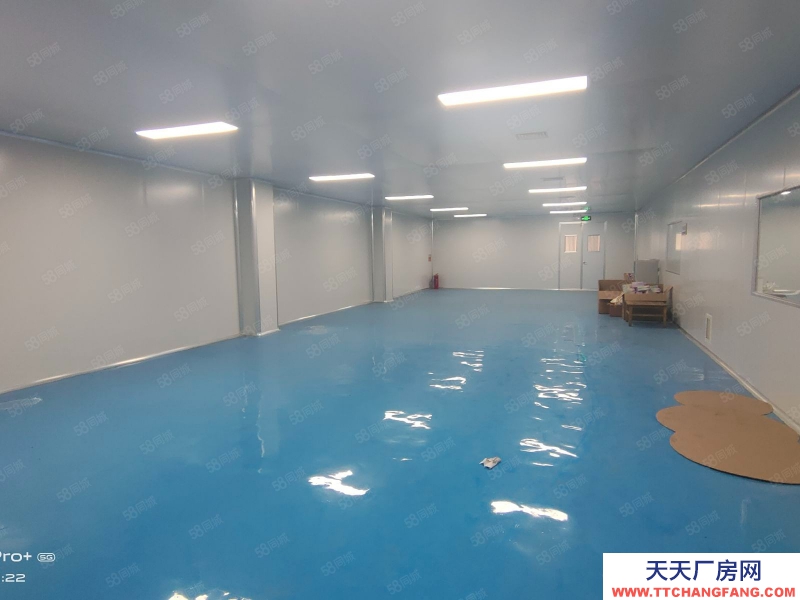 淄博周村正陽路10萬級凈化車間轉(zhuǎn)讓或出租