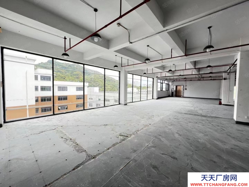 (出租) 深圳南山西麗地鐵口1000平每層可分帶卸貨平臺(tái)原房東無公攤