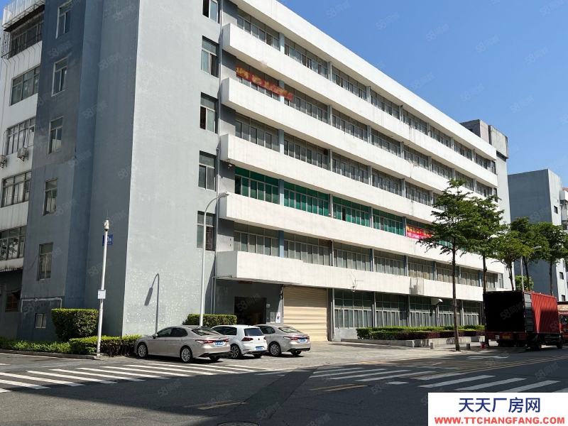 (出租) 深圳鹽田業主直租,海山地鐵口精裝修550平廠房出租