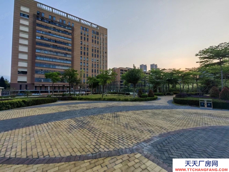 (出租) 深圳鹽田原房東實際面積 鹽田工業園獨棟5000平廠房出租