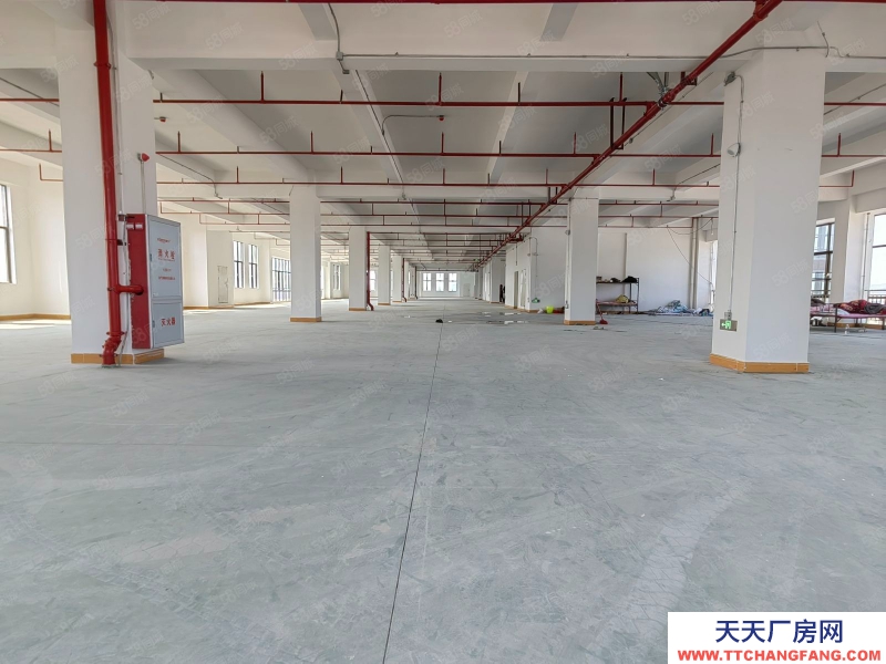 (出租) 深圳寶安光明高新醫(yī)療補(bǔ)貼全新獨(dú)棟廠房出租5000平可分租倉庫出租