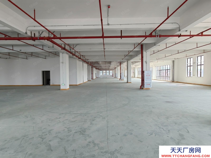 (出租) 深圳寶安光明高新醫(yī)療補(bǔ)貼全新獨(dú)棟廠房出租5000平可分租倉庫出租