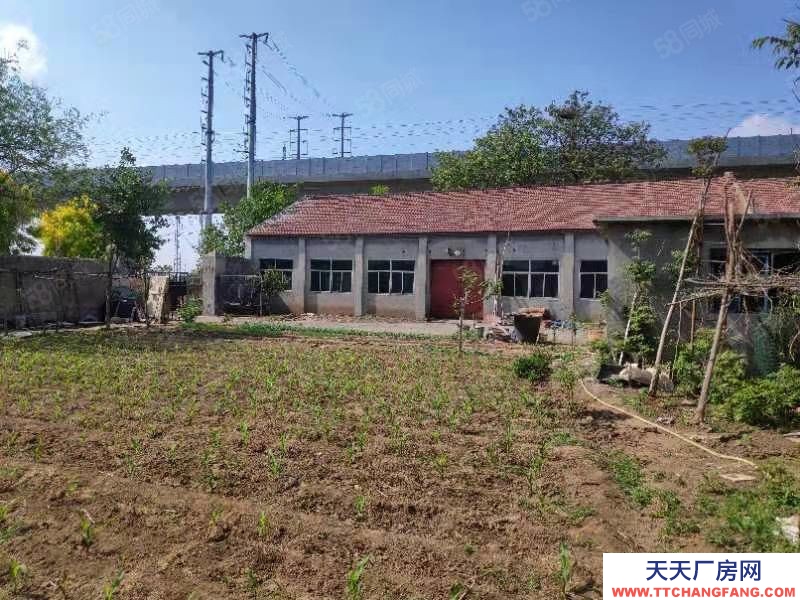 淄博桓臺原山大道周家鎮(zhèn)廠房帶院出租