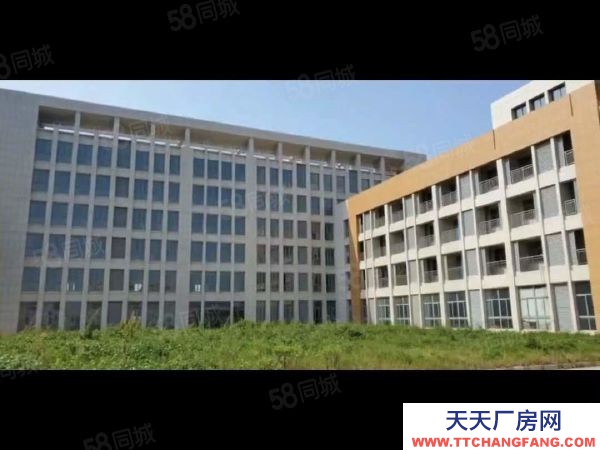 南京高淳經(jīng)濟(jì)開(kāi)發(fā)區(qū)土地43畝2.9萬(wàn)平標(biāo)準(zhǔn)廠房出售5500萬(wàn)