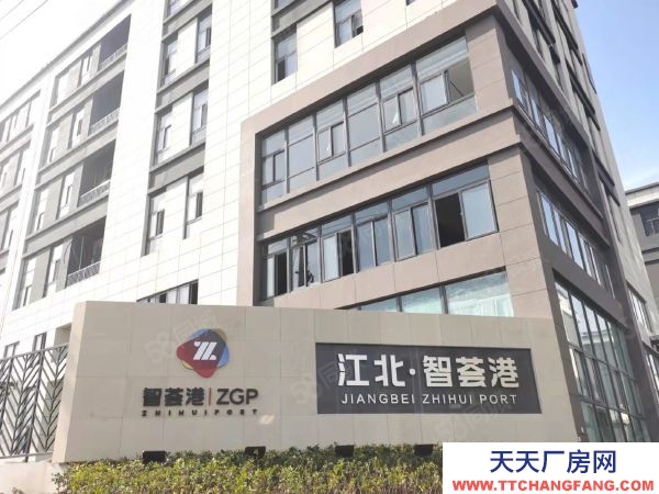 南京高淳區廠房50年產權 首層8.1米 獨棟分層雙拼 現房低價