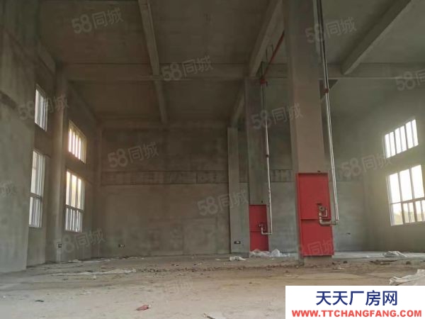 南京高淳區廠房50年產權 首層8.1米 獨棟分層雙拼 現房低價