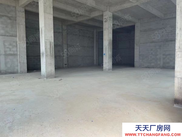 南京市高淳區好廠房出售 現房銷售 低價格 高品質