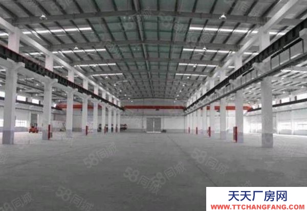南京市高淳區非中介，超高單層廠房出租！！！！