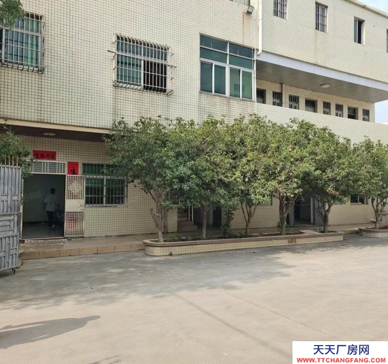 (出租) 東莞寮步原房東獨(dú)院直租，公攤少，價(jià)格便宜大馬路上旁邊