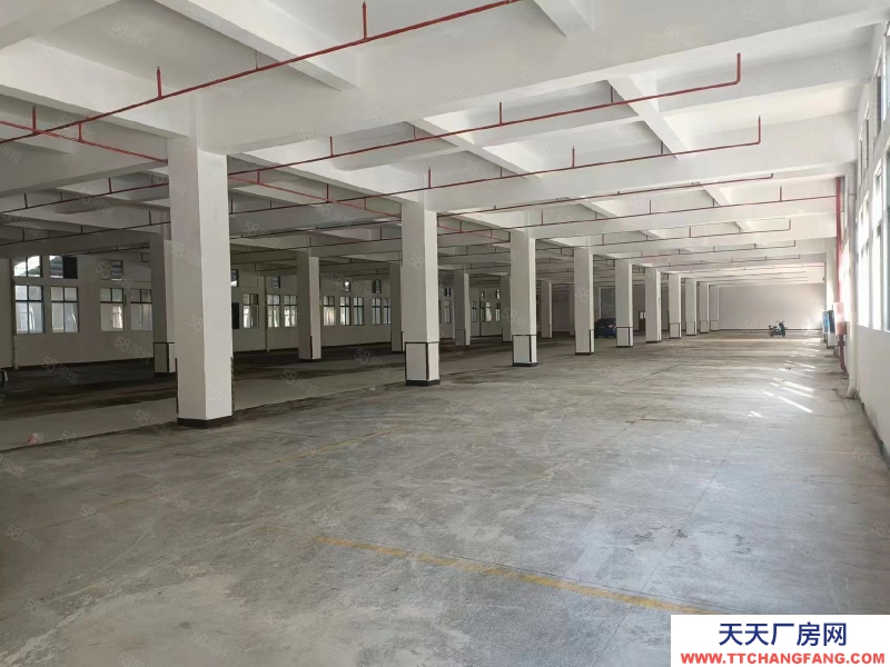 (出租) 東莞國有紅本4萬平廠房，工業(yè)用地，易招工，位置超好