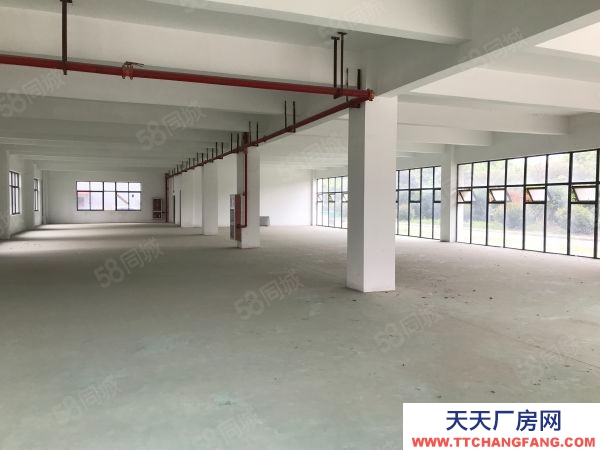 蘇州市吳中區 浦莊二樓100，200,300,500平米精裝修廠房，可注冊