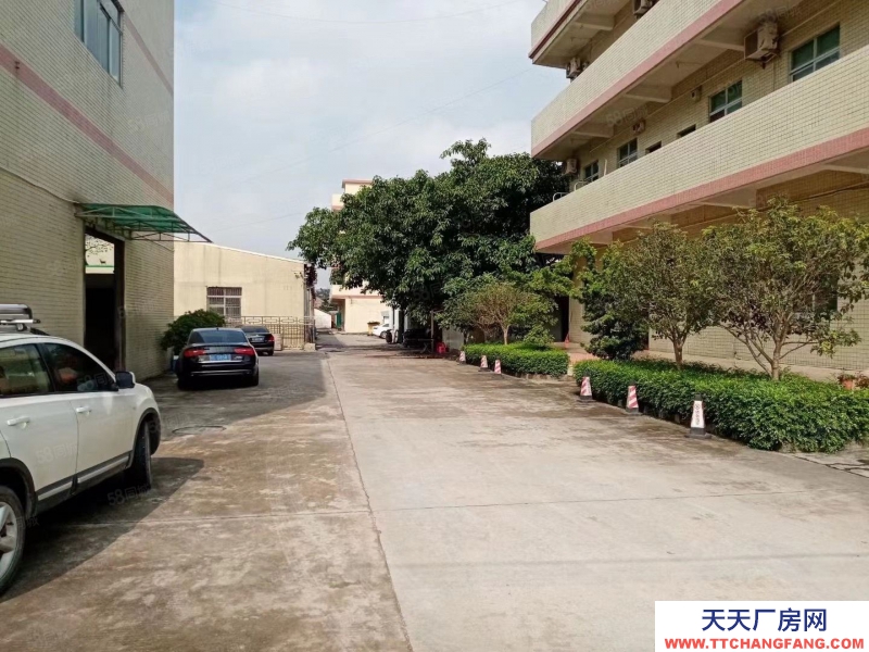 (出租) 常平新出帶牛角標準一樓2000平方，配帶消防噴淋，工業用地