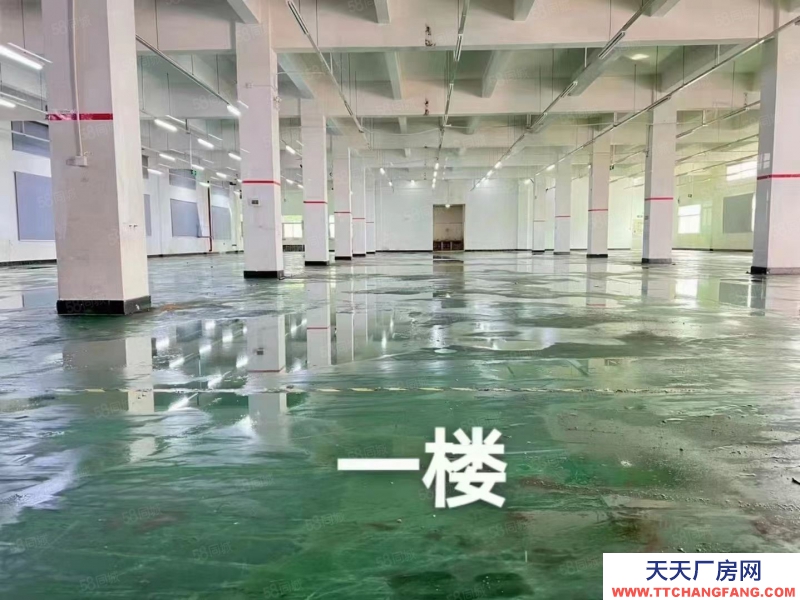 (出租) （新出）東莞常平橋瀝獨院三層7500平方，可分租