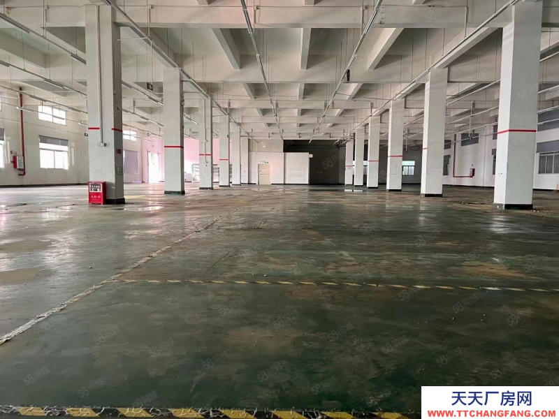 (出租) （新出）東莞常平橋瀝獨院三層7500平方，可分租