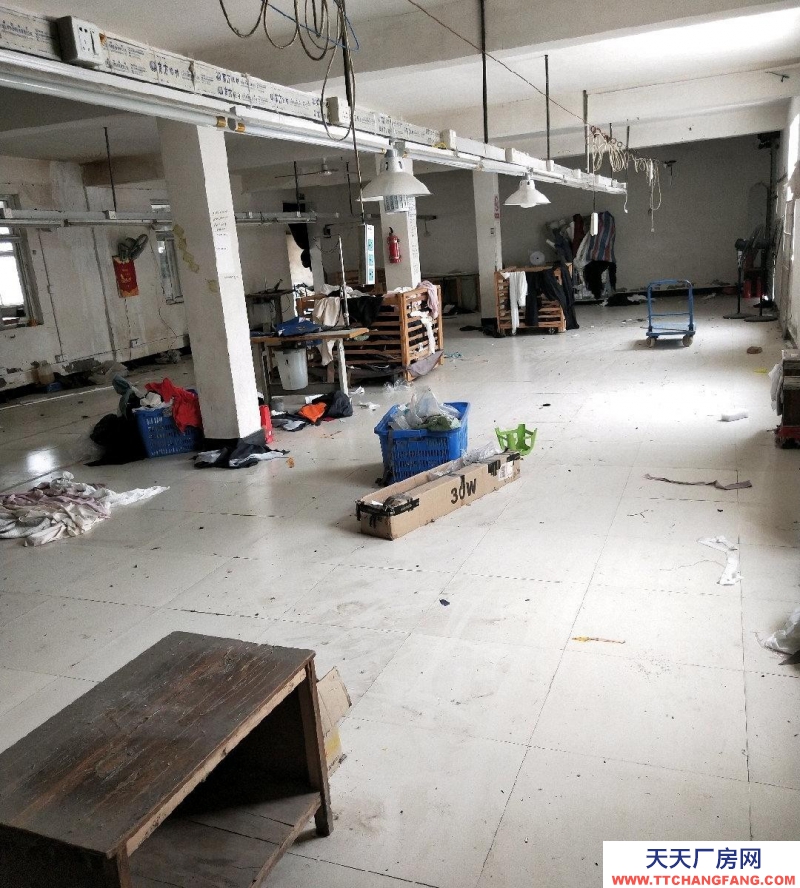 (出租) 蕪湖鏡湖出租廠房700平