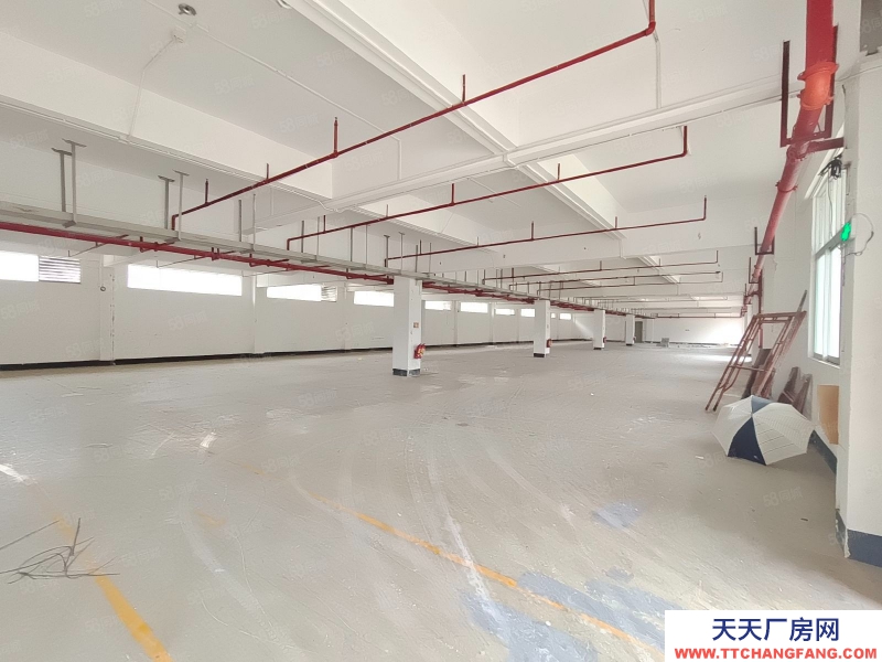 (出租) 東莞厚街帶鞋材手袋環(huán)評！原房東，花園式廠房6800平招租，接受分租！