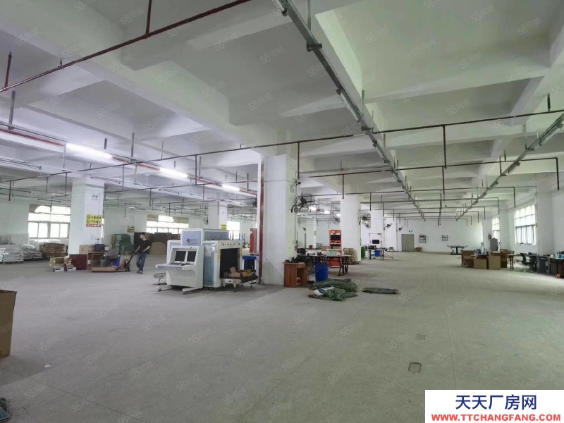 (出租) 東莞長安工業園廠房倉庫出租4500平精裝修可辦環評空地超大