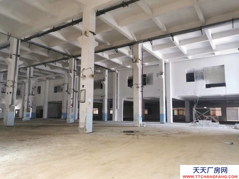 (出租) 東莞臨深黃江獨門獨院廠房，位置好空間大，工業用地，帶環評